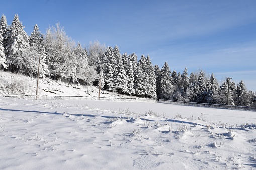 Le terrain des loisirs en hiver, Sainte-Apolline, Québec, Canadac