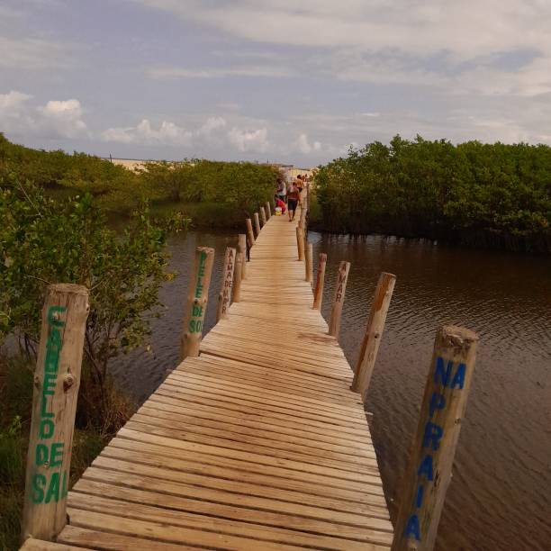 istock Lake from a Beautiful curved bridge! 2149973058