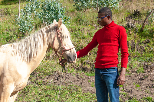 A man in a red sweater tenderly touches a horses muzzle amidst verdant countryside.