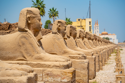 Sphinx Allee (Avenue of the Sphinxes) in Luxor, Egypt