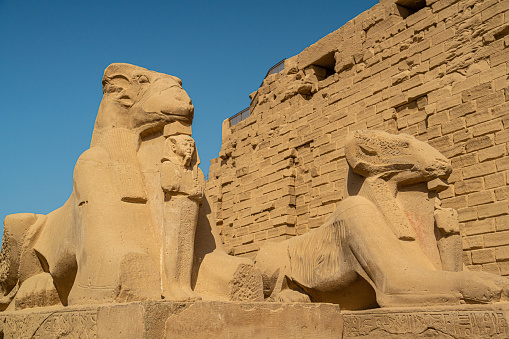Ancient ruins of Karnak temple in Egypt, alley of sphinxes in Thebes at the Karnak Temple in Luxor