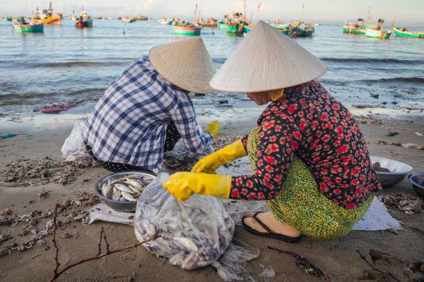 istock Vietnamese women sorting fresh catch, Mui Ne 2149974816