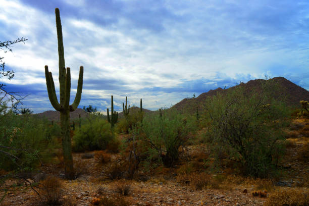 istock San Tan Mountains Sonora Desert Arizona 2149975459