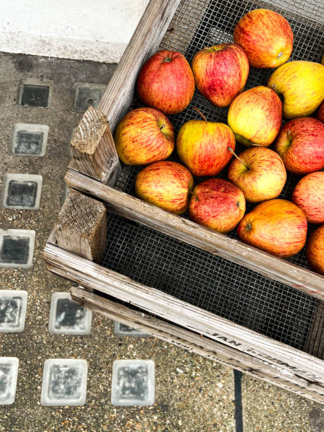Basket full of ripe orange and red apples placed on the floor of the shop in London