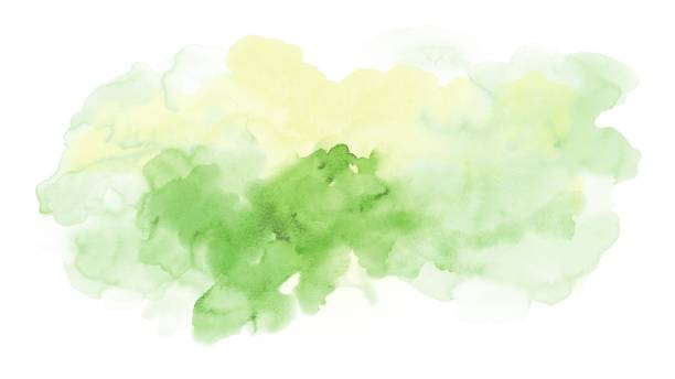 illustrazioni stock, clip art, cartoni animati e icone di tendenza di macchie di acquerello giallo verde isolate su sfondo bianco. - dipinto ad acquerelli