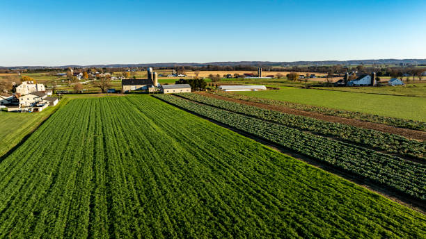 istock Golden Hour Over Verdant Farm Fields 2149982114