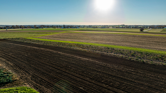 The late afternoon sun highlights a serene expanse of farmland, with rows of crops and tilled soil, ideal for themes of agriculture and rural ecosystems.