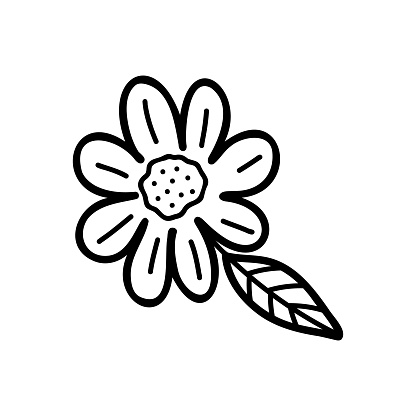 Vector single element  flower in doodle style. Stock summer isolated image on a white background. Botanical clipart.