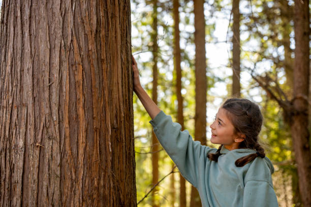 istock Young girl admires giant cedar tree 2149990221