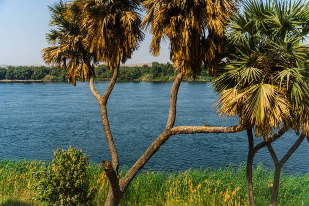 Landscape along the Nile.River Nile in Egypt