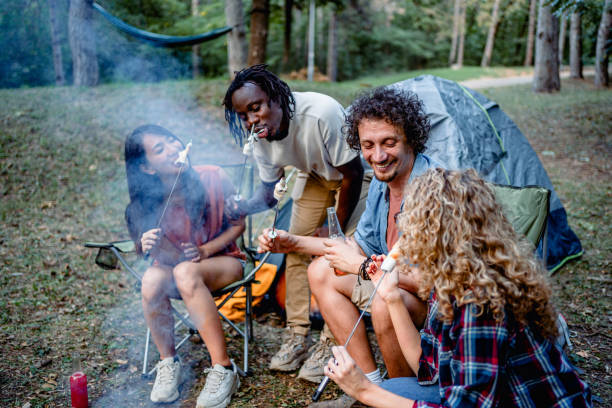 istock Friends roasting marshmallows together at camping 2149992642