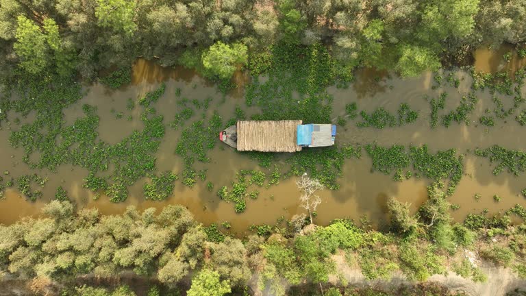 Aerial video of a small boat traveling on a canal in the Mekong Delta