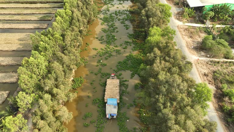 Aerial video of a small boat traveling on a canal in the Mekong Delta
