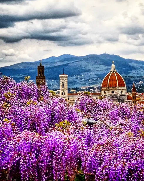 istock Beautiful landscape of Florence 2149994381