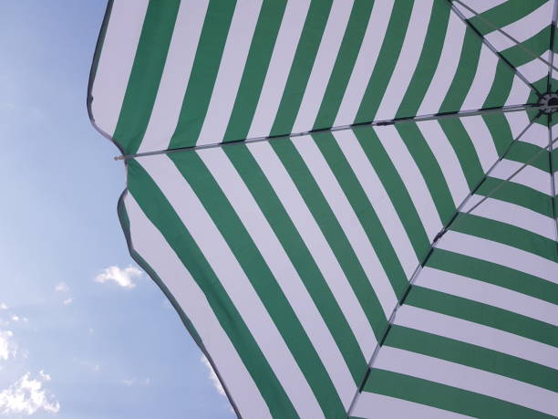 The white background in the picture is a pastel green plastic umbrella with a black edge. The umbrella frame is made of black iron and the handle is cream colored. It is used to open the umbrella.