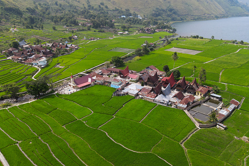 Aerial photo of Bonan Dolok village with rice field, Lake Toba, Samosir