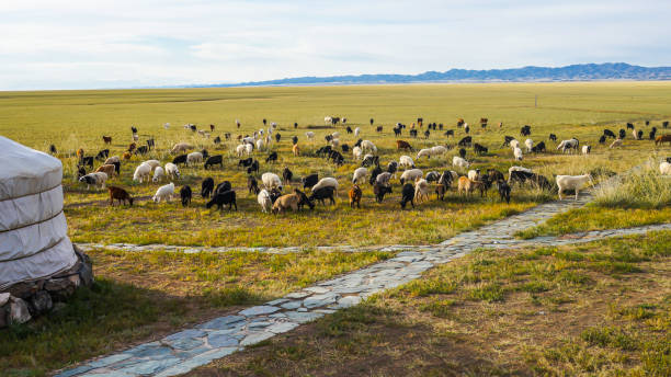 istock Sights of Mongolia 2149996030