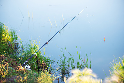 Fishing rod on the lake shore close up.