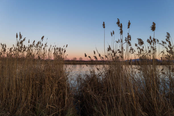 istock Evening landscape at sunset by the pond. 2149997026
