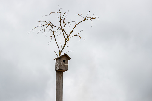 Wooden birdhouse with tree branches against a gray sky in bad weather