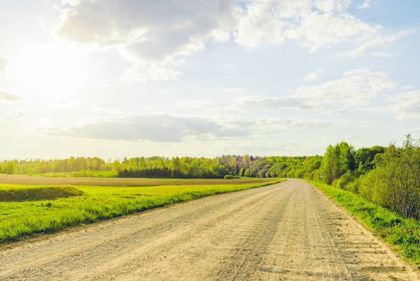istock Empty Sandy country road near the forest,fluffy clouds blue sky,summer evening landscape. 2149999005