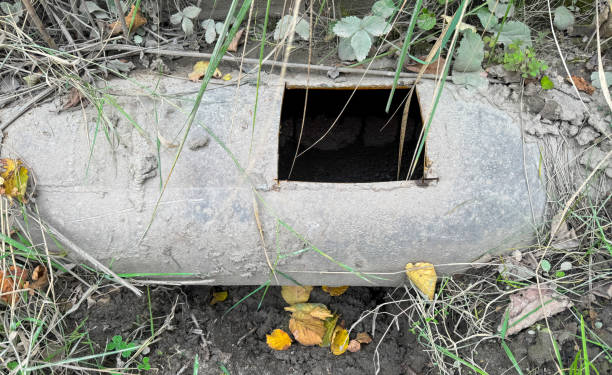 istock Cut metal pipe on the ground 2150000396