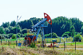 Oil pumps at work.Landscape summer bright day.