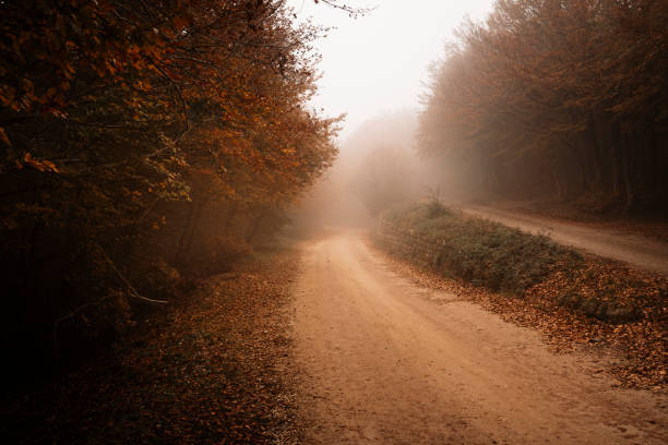istock autumn landscape with path and trees 2150002858