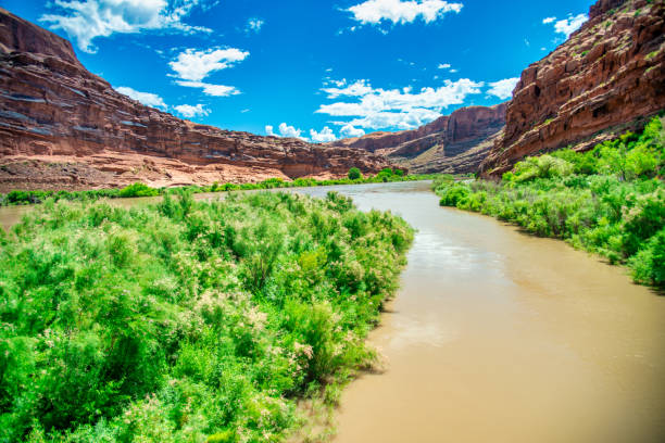 Goose Island Trail along Colorado River in Moab.