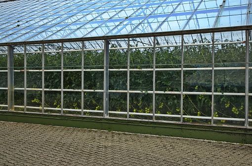 Greenhouse at Orre at the scenic route Jaeren in Norway, Europe
