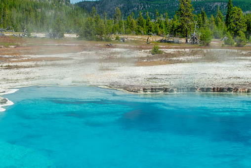 Black Diamond Pool Geysers at Yellowstone National Park. Biscuit Basin Trail.