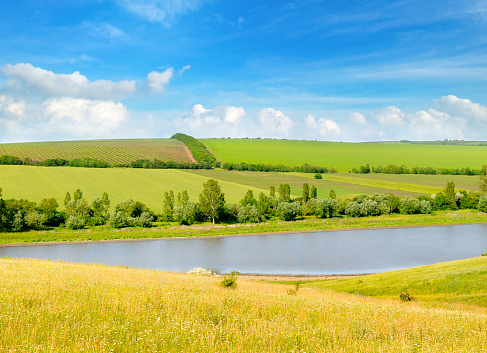 Agricultural fields, meadows, lake and bright sky.