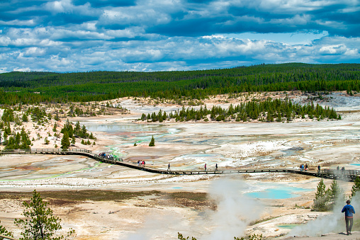 Scenic landscape with geothermal springs and pools in West Thumb Geyer Basin of Yellowstone National Park, Wyoming, USA.