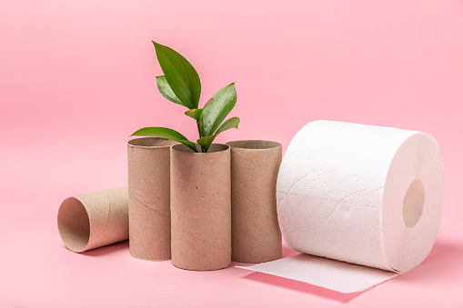 Empty toilet paper roll. Rolls of toilet paper on  background. Paper tube of toilet paper. Place for text. Copy space. Flat lay. Eco-friendly reuse recycle