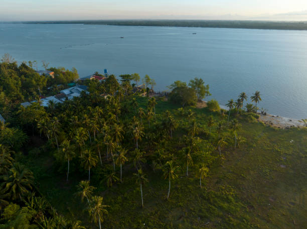 istock Coconut trees with slanting sunlight taken from above 2150007309