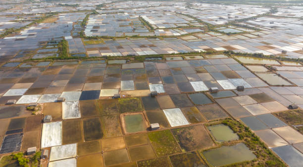 istock Colorful salt fields viewed from above, Ben Tre province 2150007482