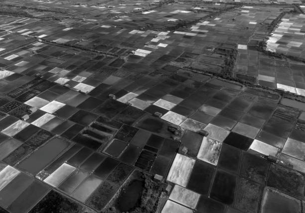 istock Colorful salt fields viewed from above, Ben Tre province 2150007487