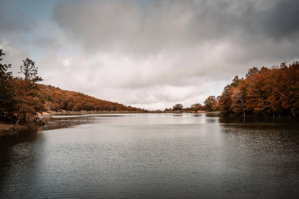 view of a lake in autumn, with yellowed trees and leaden sky