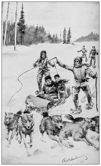 Antique image: Dog sledge