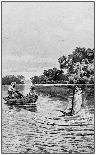 Antique image: Fishing