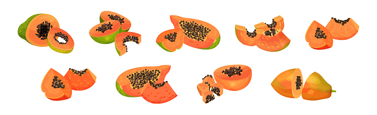 Papaya Fruit with Seeds and Orange Flesh Vector Set. Tropical and Exotic Raw Food