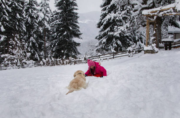 istock Cute golden retriever playing in the snow 2150017442
