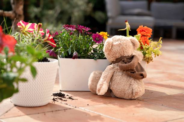 a teddy bear smells freshly planted flowers on a sunny day