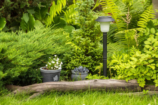 istock Small garden lantern with dry log and flower pots 2150018015