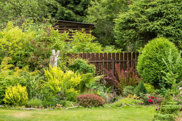 istock Fence surrounded by landscape gardening plants 2150018017