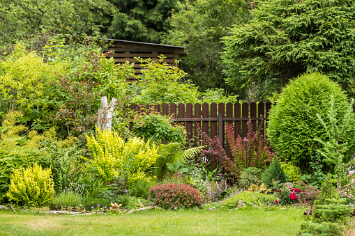 Fence surrounded by landscape gardening plants