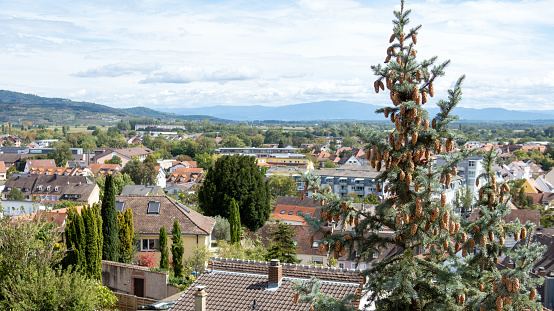 View over the historic town of Breisach am Rhein