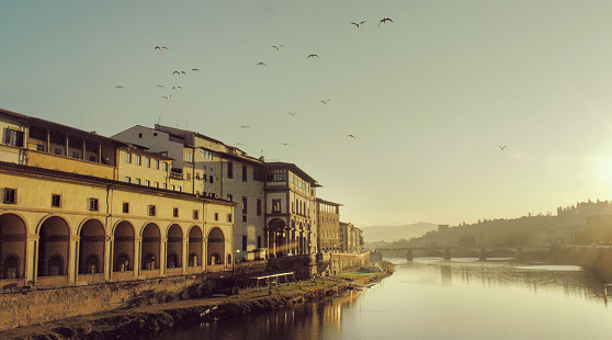 Cityscape with a river and flying birds. The sun rises over the Arno River in Florence.