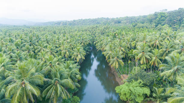 istock kerala is the most beautiful state in India 2150021299