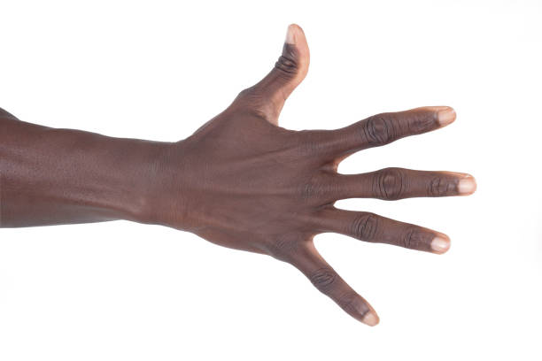 hand with fingers extended on white background